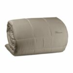 LORY-ARGILLA-TRAPUNTA-BLUMARINE-