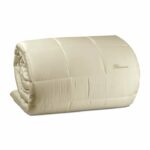 LORY-SETA-TRAPUNTA-BLUMARINE-