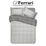 clio-trapunta invernale gf ferrari
